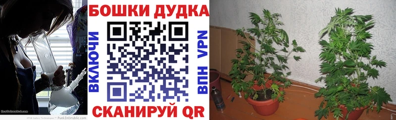 Купить  Весьегонск  Марихуана LSD WEED 